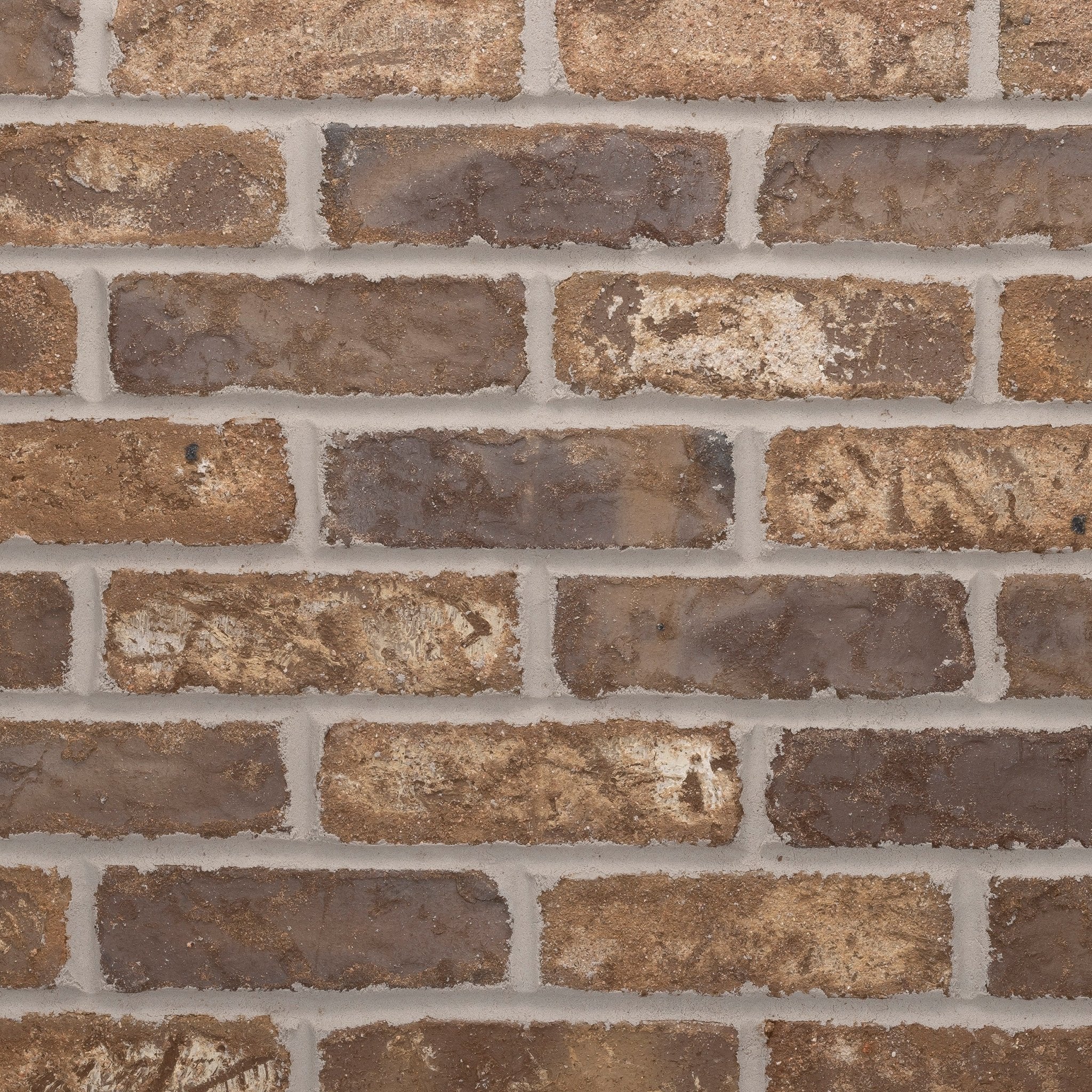 Chestnut Thin Brick Sample Box – 12 Real Clay Bricks - Image 3